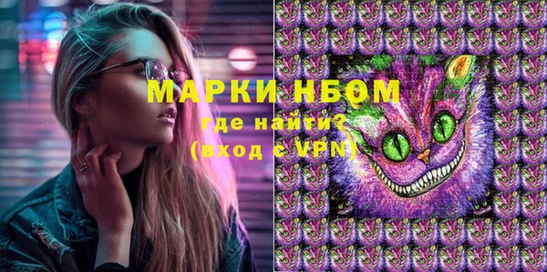 гашик Надым